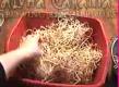 How to Grow Bean Sprouts